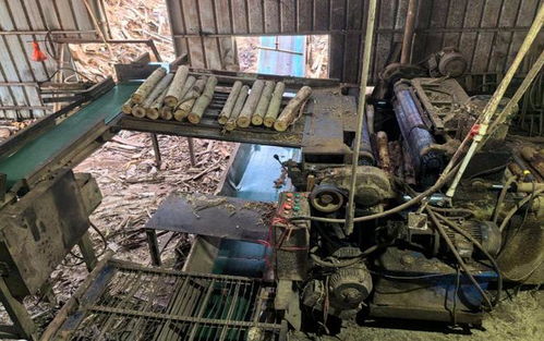 工人卷入齒輥遭輾壓身亡,雷州市英利鎮(zhèn)匯利木制品廠1 2事故查明