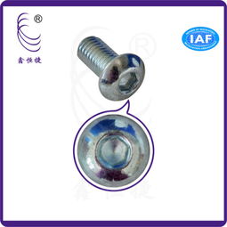 專業解析 內六角盤頭螺絲M6、鉆尾自轉螺絲及其工廠供應