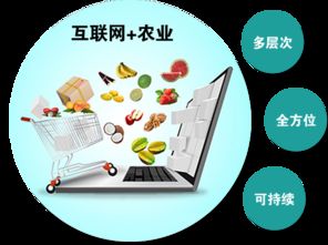農產品觸網 互聯網時代，誰是下一個超級代言人？